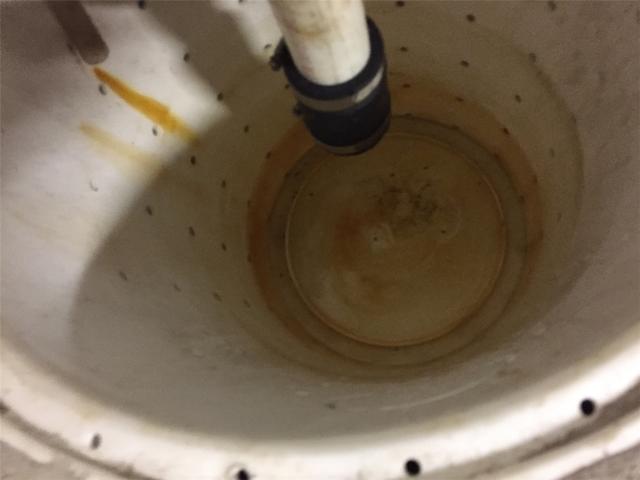 Sump Pump Fully Cleaned Out