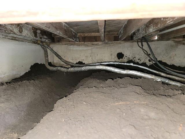 Before Crawl Space Remediation