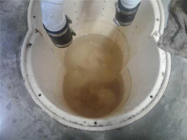 Sump Pump Fully Cleaned