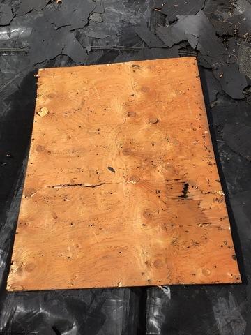 Old Plywood in Walden, NY