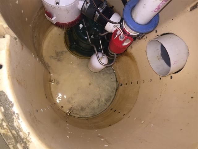 Sump Pump Cleaned