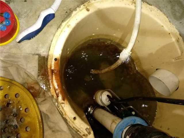 Caring for a sump pump is similar to caring for a car; if you want to see the best results, you need to put effort into the system!