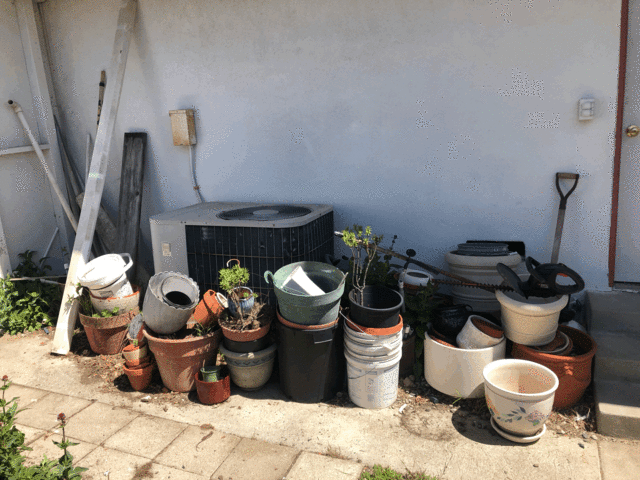 side yard