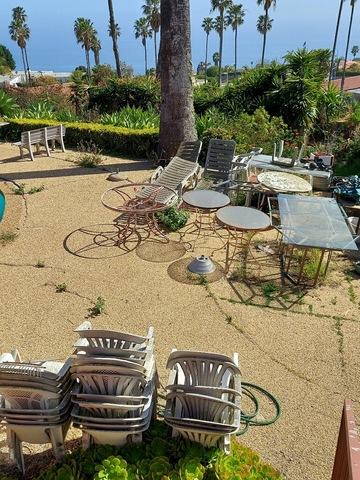 backyard 2