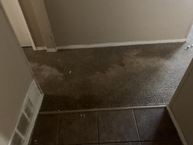 Before Water Damage Cleanup