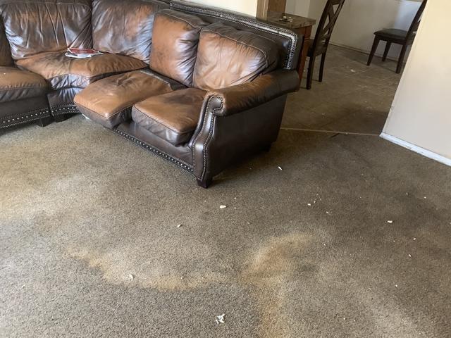 This shows the water damaged carpet.