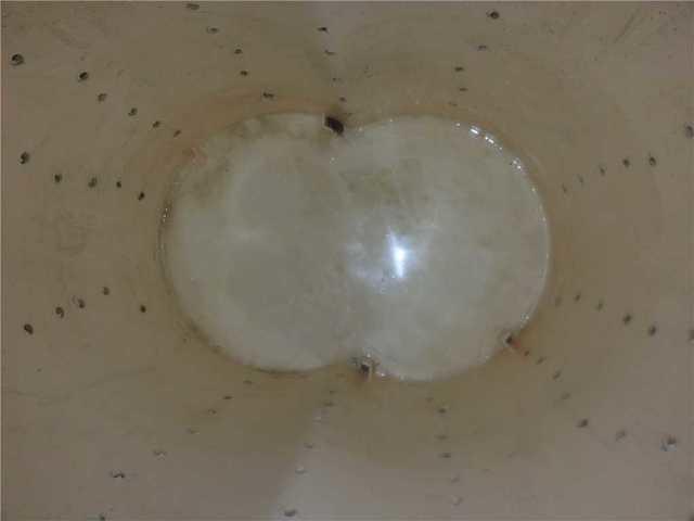 Sump Pump Cleaned Out