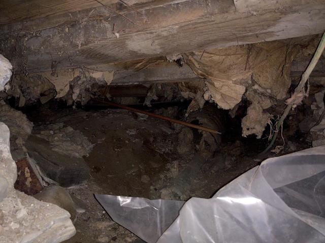 Crawl space before