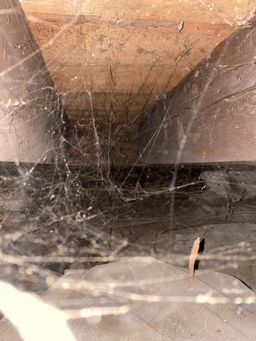 Crawl space before 2