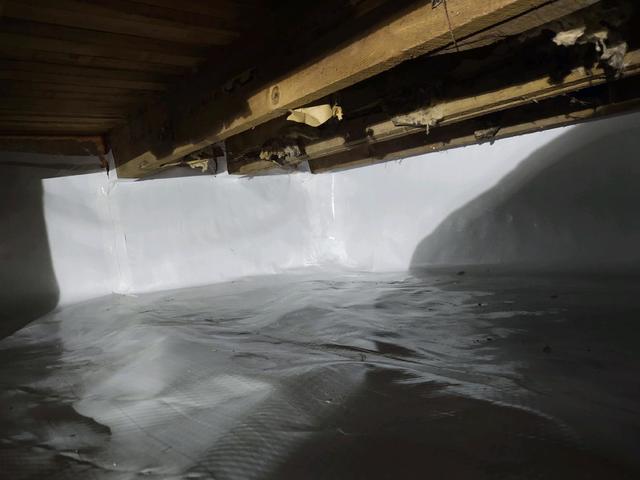 Crawl Space after