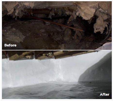 Crawl Space before and after