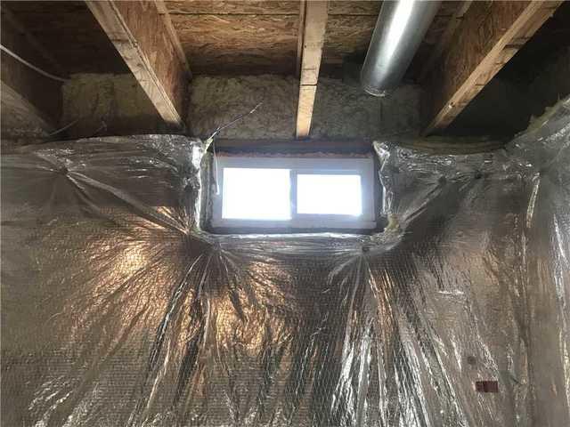 Basement Window