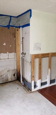 During Mold Remediation