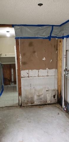 During Mold Remediation