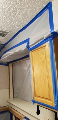 During Mold Remediation