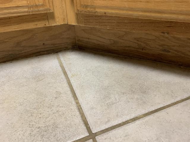 Before Mold Remediation
