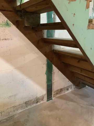 Fortress Carbon Fiber Strap