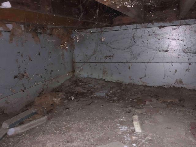 Before Photo- Nasty Crawl Space In Excelsior, MN