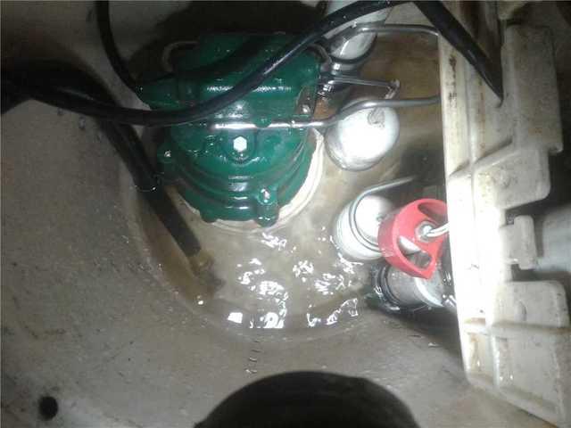 Sump Pump Cleaned