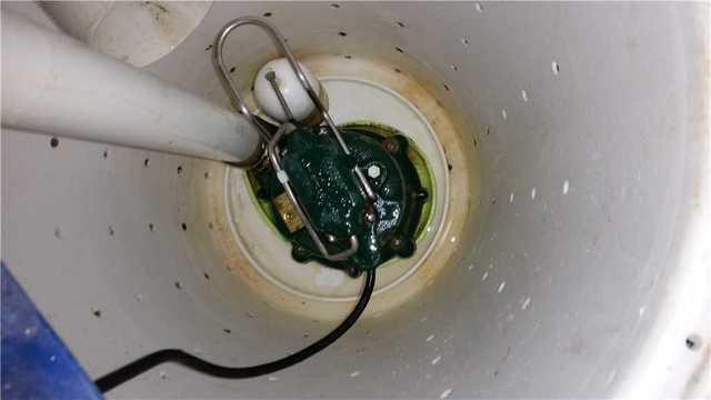 Sump Pump Cleaned