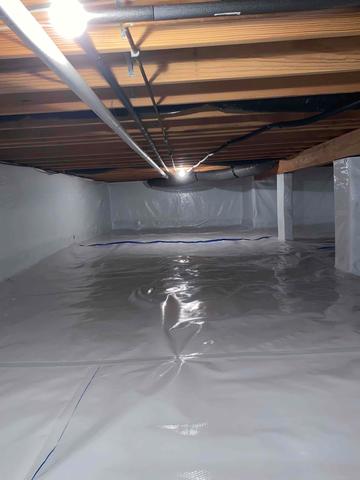 Vapor Barrier Preventing Mold Growth
