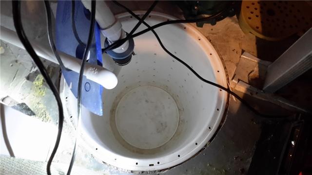 Sump Pump Cleaned