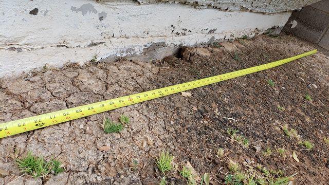 Effects of Moisture on Stem Wall