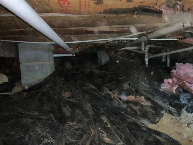 This photo shows the crawl space before our crews began work.