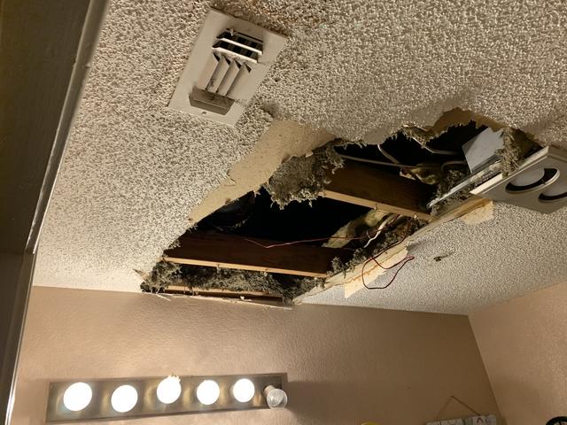 Before Water Damage Cleanup