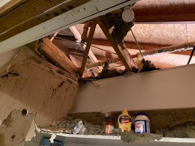 Before Water Damage Cleanup