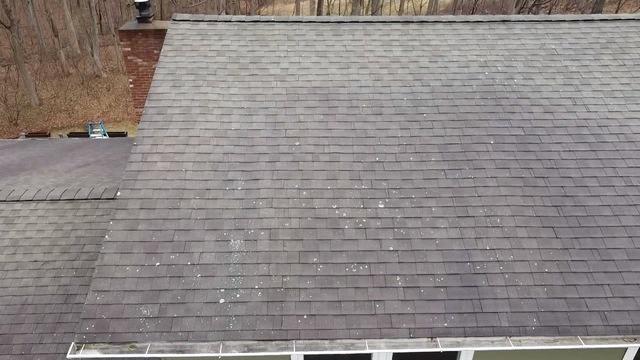 Lichen-Covered Roof in Cold Spring, NY
