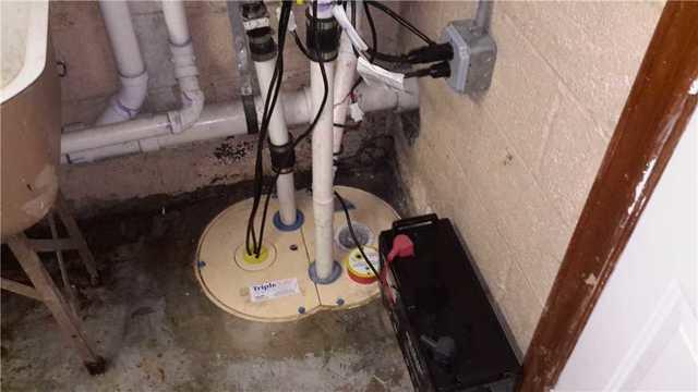 TripleSafe Sump Pump