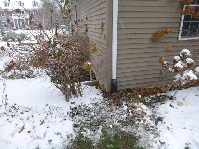 UnderGround Downspout