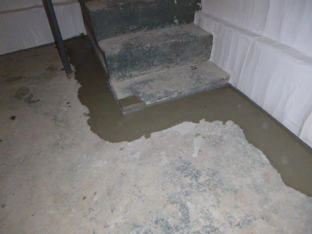 WaterGuard Perimeter with EmeShield