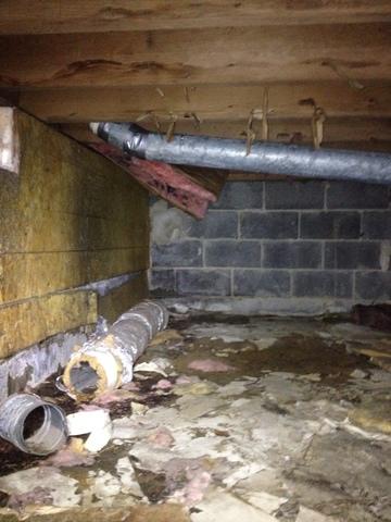 <p>Here you can see moldy, hanging insulation. When insulation in a crawl space fills with moisture, it starts to deteriorate.</p>