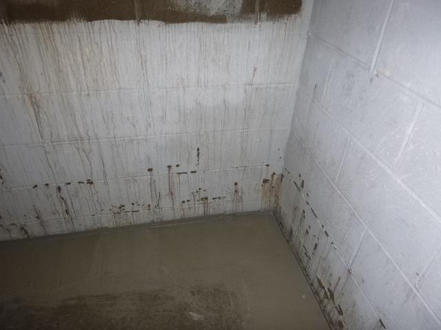 WaterGuard Perimeter