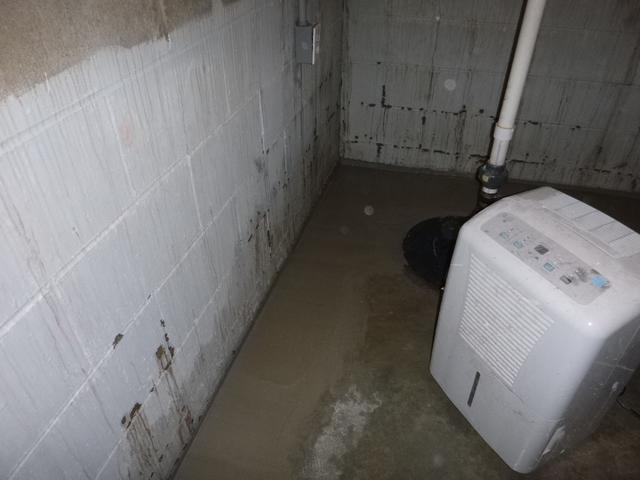 WaterGuard Perimeter