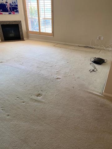 <p>removed the couch and side table</p>