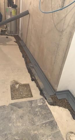 WaterGuard Catches It All