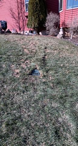 No Obstruction Left In The Yard