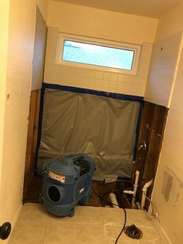 During Mold Remediation