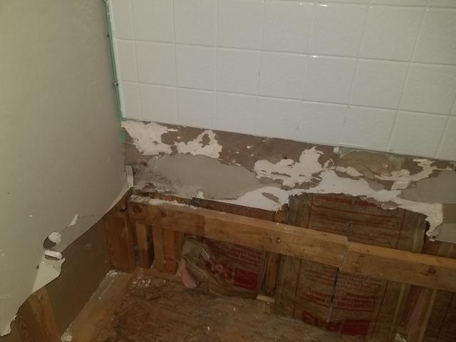 Before Mold Remediation