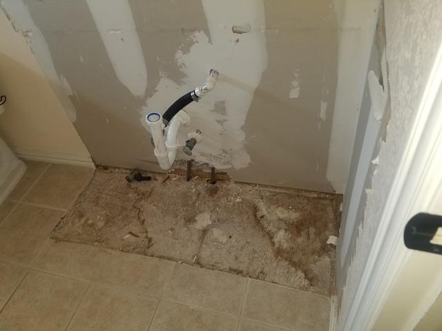 Before Mold Remediation