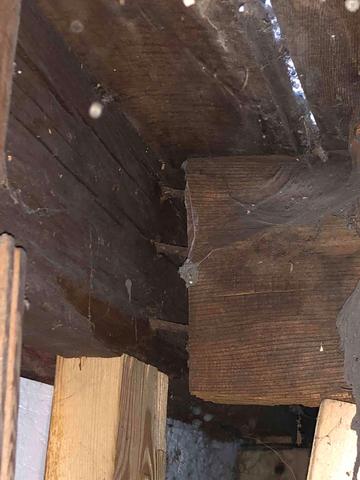 Ceiling Joists Failing in Crawl Space