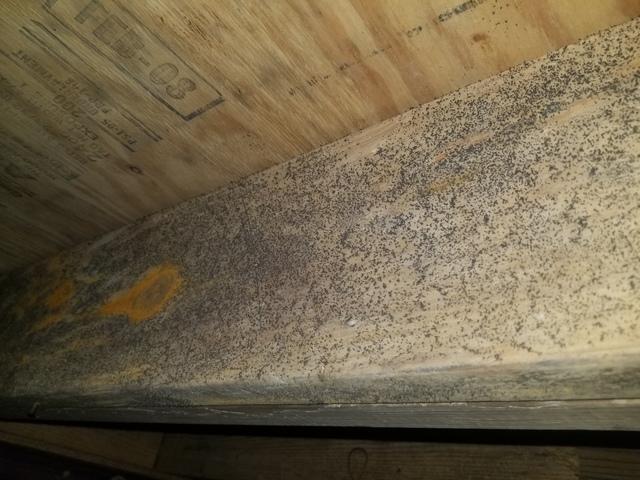 Before Crawl Space Encapsulation