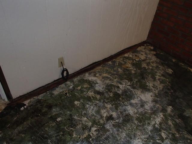 Homeowners of this basement in Everett were dealing with wetness on and off for years.