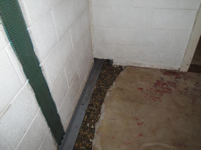 WaterGuard Solution