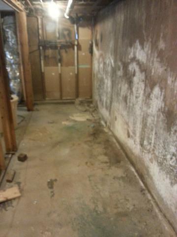 Before