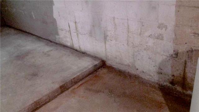 <p>The home had water in every corner of this basement.</p>