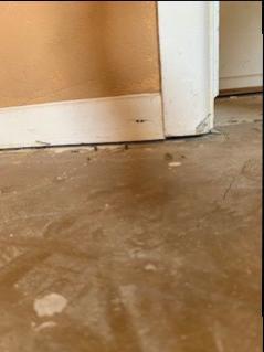 After PolyLevel® System Repair